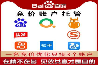 SEM托管公司成功案例：助力企业快速成长