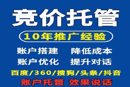 竞价推广成功案例解析